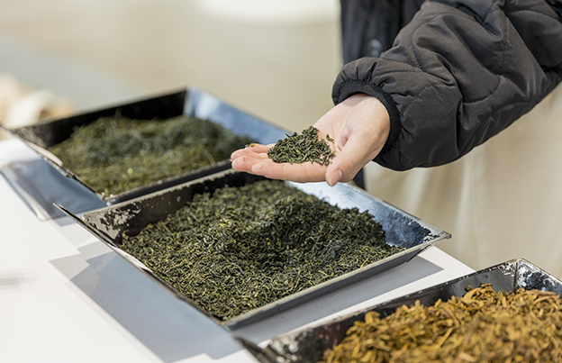 茶葉の選別