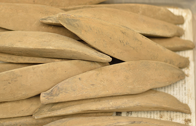 本枯節-カビ付け