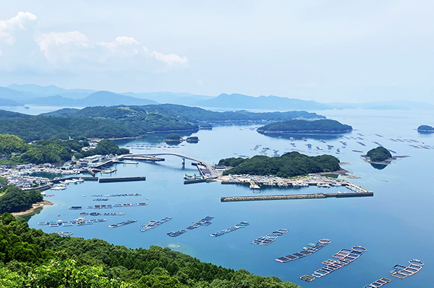 ブリの養殖-長島町