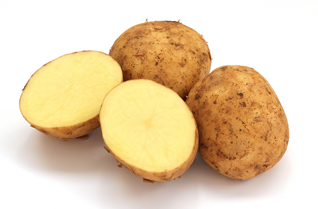 赤土ジャガイモ-ニシユタカ