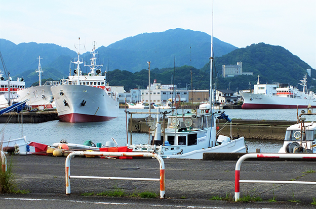 焼津港-漁船
